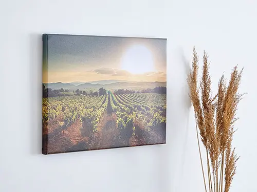 ARTE Y DECORACIÓN. Cuadros sobre Lienzos, forex, cartón pluma y aluminio.